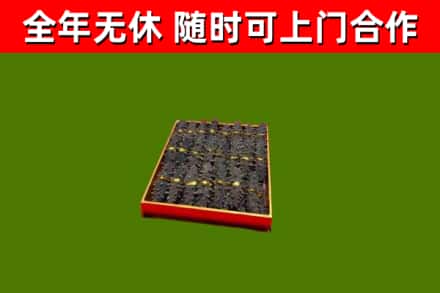 锦江回收海参